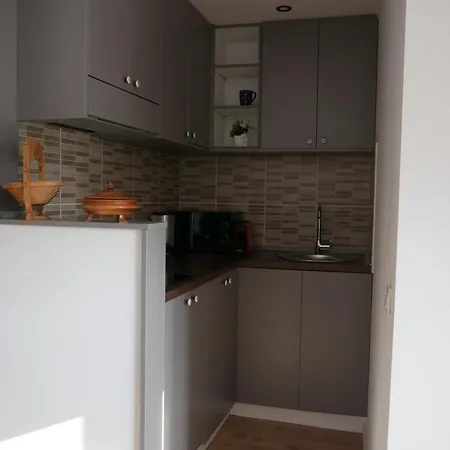 Free Garage In The Center-Delicia 4 Studio! Sibiu Exterior photo
