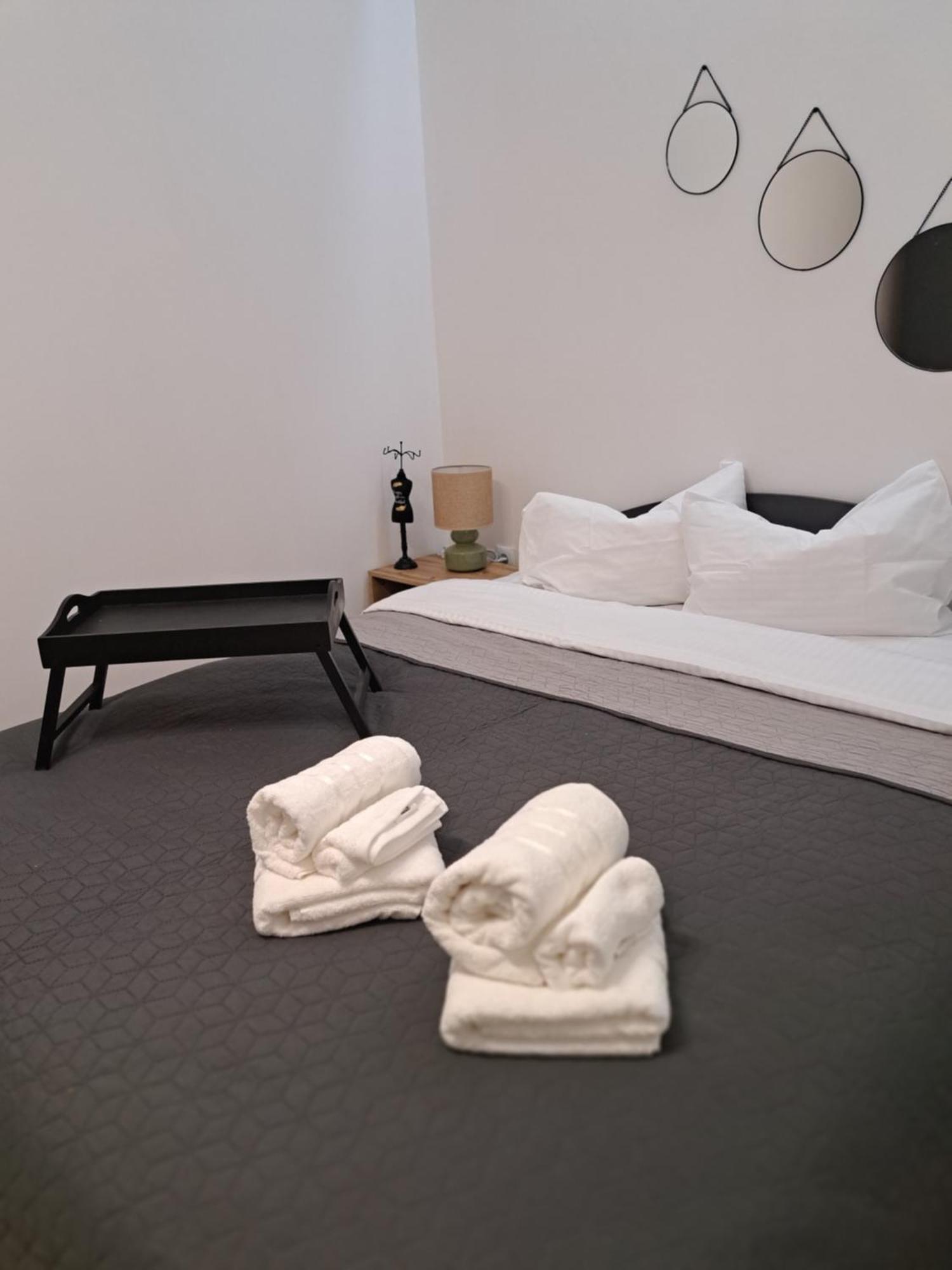Free Garage In The Center-delicia 4 Studio! Sibiu